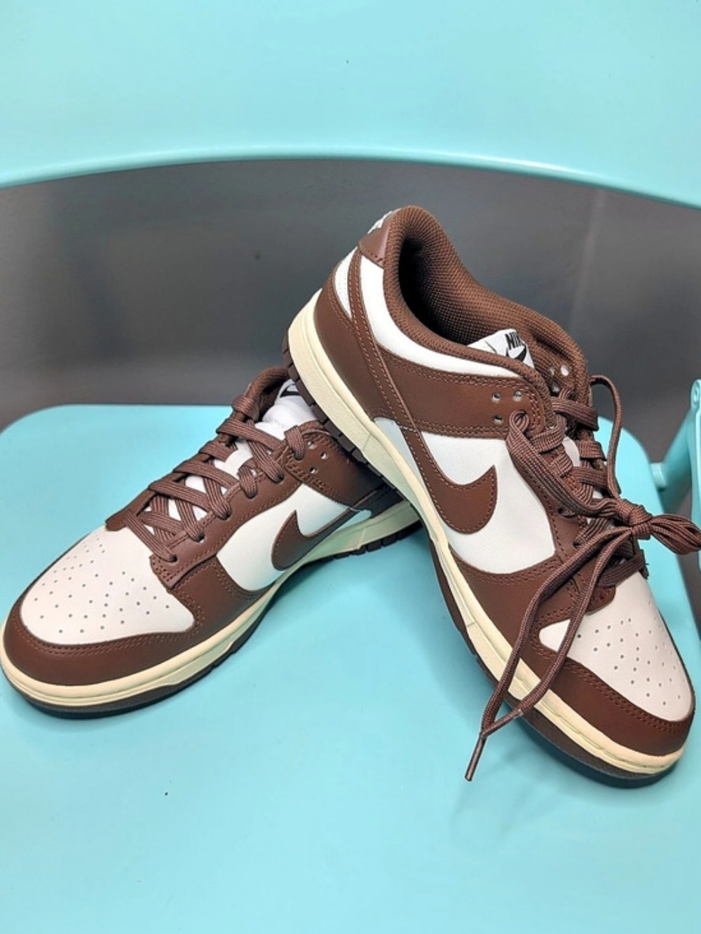 Nike Dunk Low Next Nature "Baroque Brown" Sneakers in Brown & White